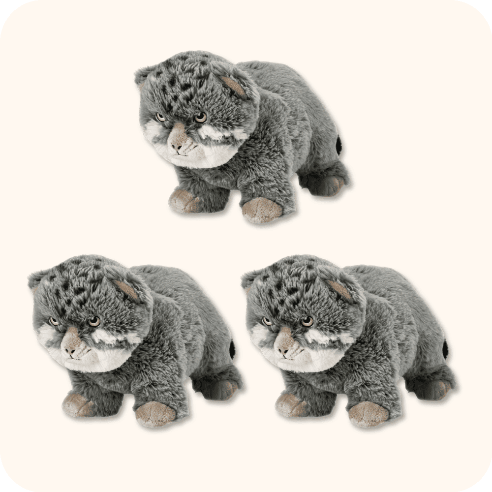 Pallas Cat Plush 3PCS Pallas Cat Plush 3PCS