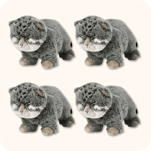 Pallas Cat Plush 4PCS