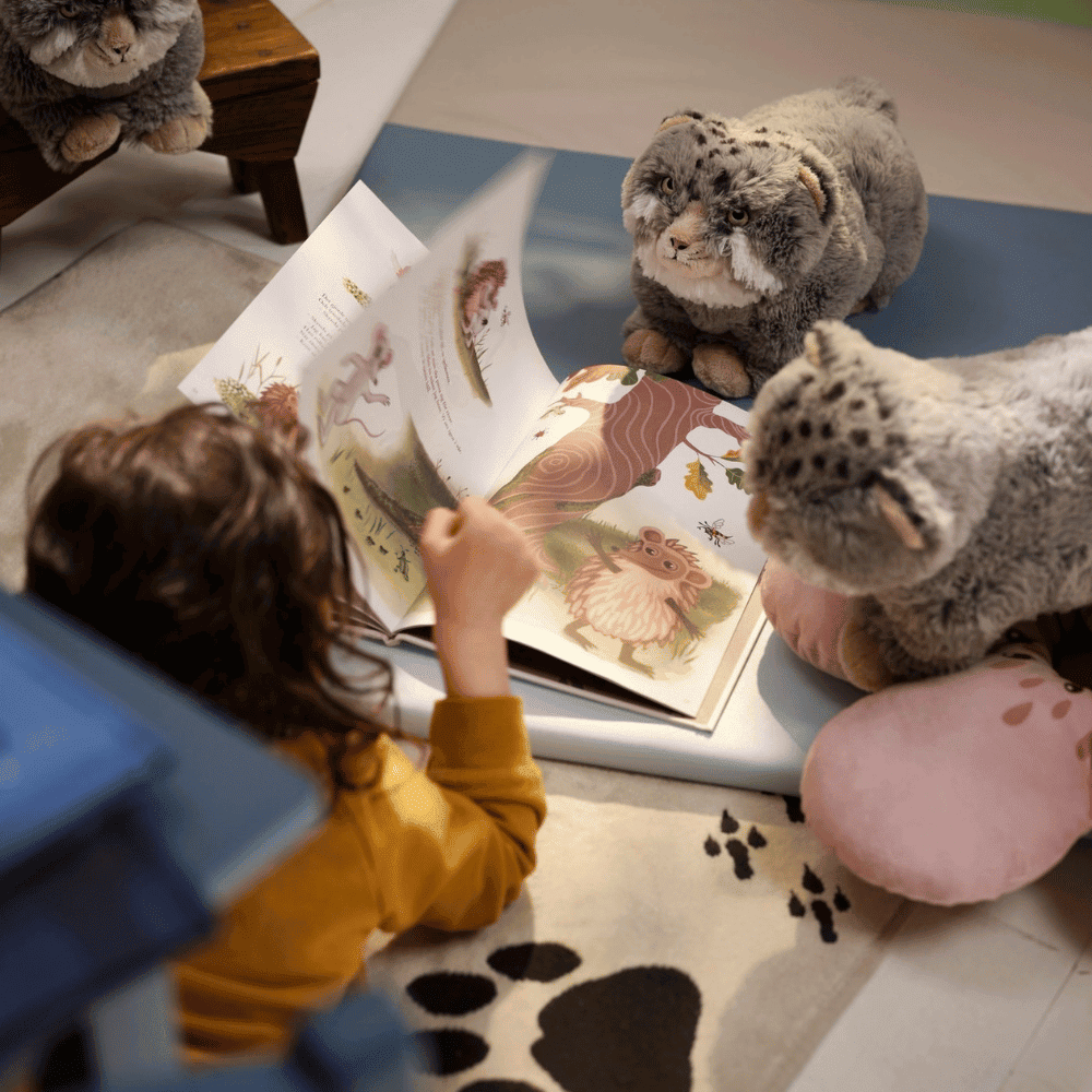 Pallas Cat Plush Pallas Cat Plush